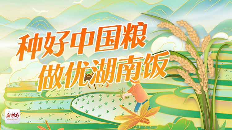 种好中国粮 做优湖南饭⑭丨大围山梨： 梨中“新贵”