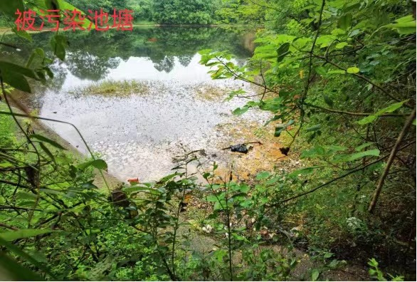 湖南省发布2022年生态环境“两打”专项执法典型案例（第一批）