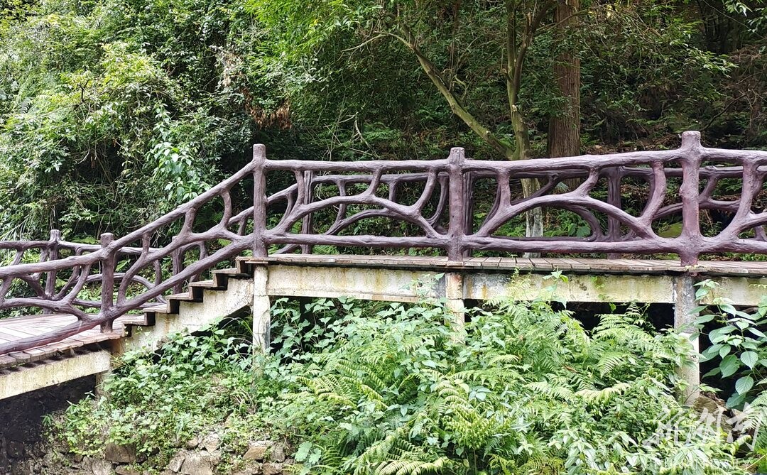 全新升级！张家界宝峰湖景区旅游改善服务环境