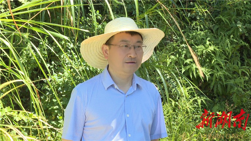 周峰到长湖乡督导抗旱保收工作