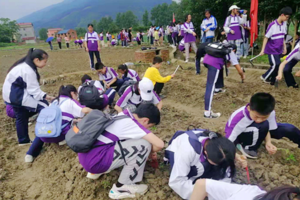 双牌紫京学校获评首批湖南省中小学劳动教育实验校