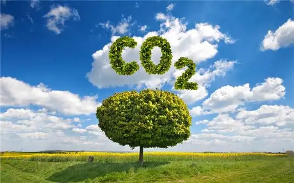 九部门联合印发《科技支撑碳达峰碳中和实施方案（2022—2030年）》