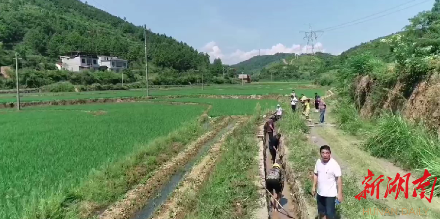 邵阳县42.6万亩稻田得到有效灌溉_邵商网