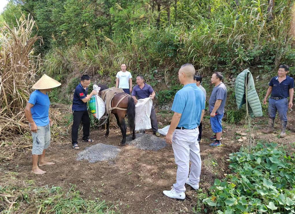 宁远县桐木漯瑶族乡:人马共战,战出晚稻生命线