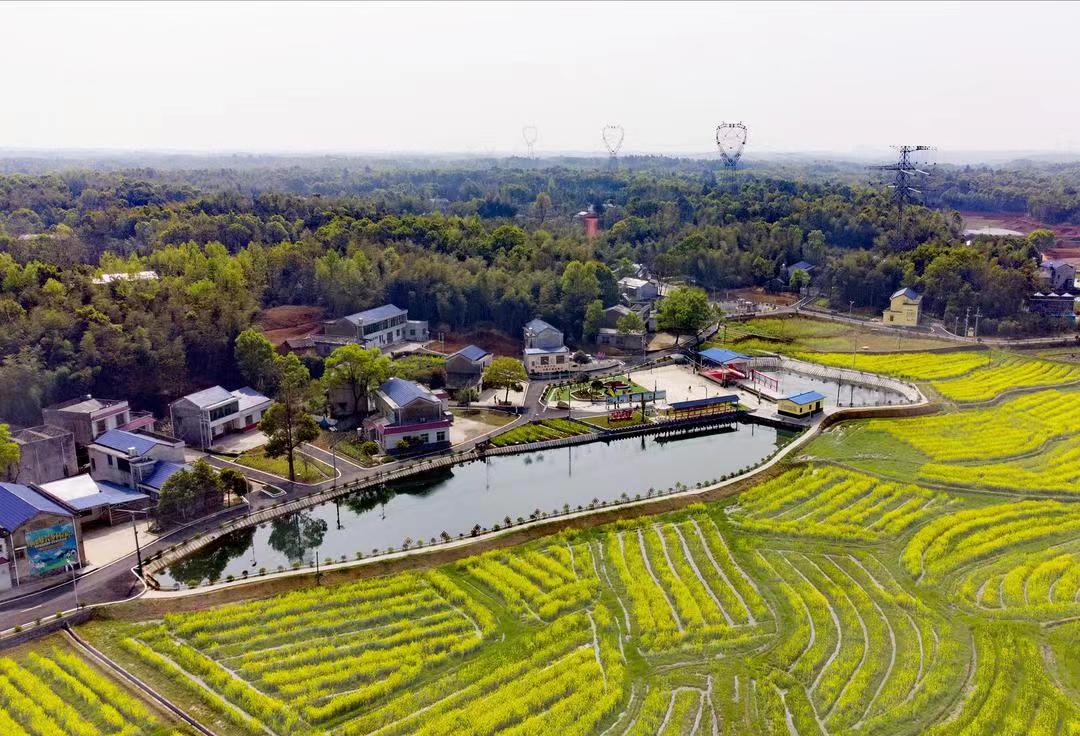 华林村六合堂美丽屋场全景。 华林村六合堂美丽屋场全景。