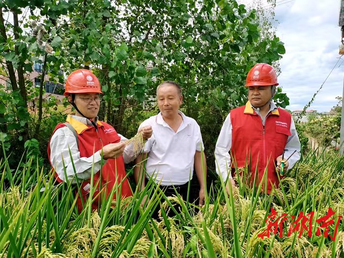 “空巢村”里抗旱急_邵阳头条网