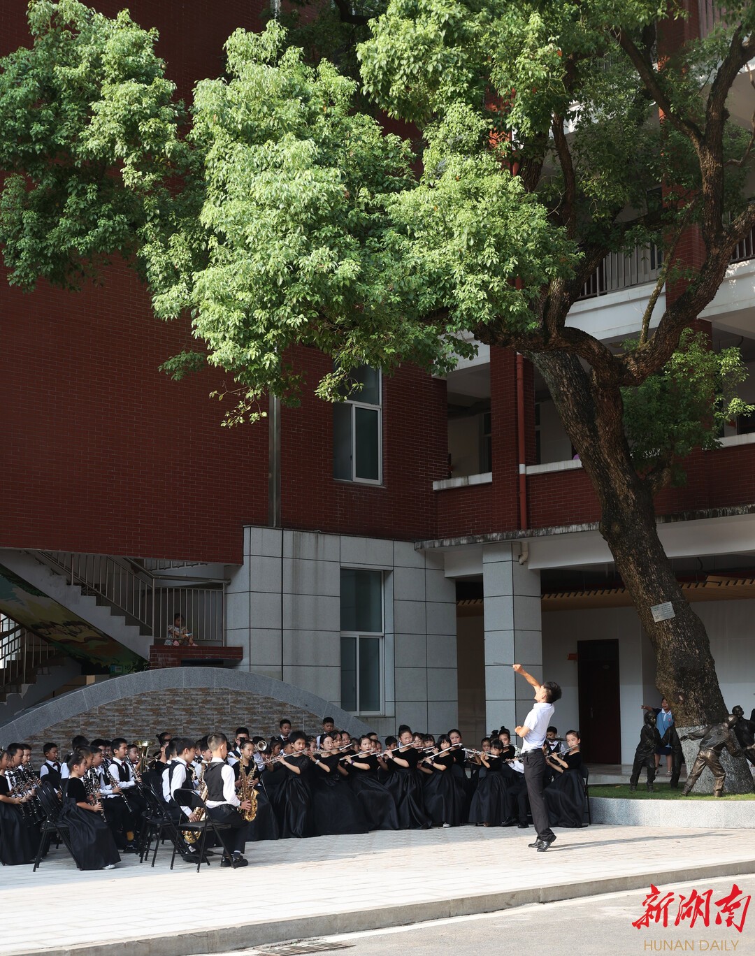 枫树山莲湖小学图片