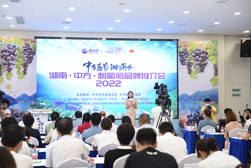 湘报快讯|2022年湖南·中方·刺葡萄品牌推介会在星城长沙顺利举行