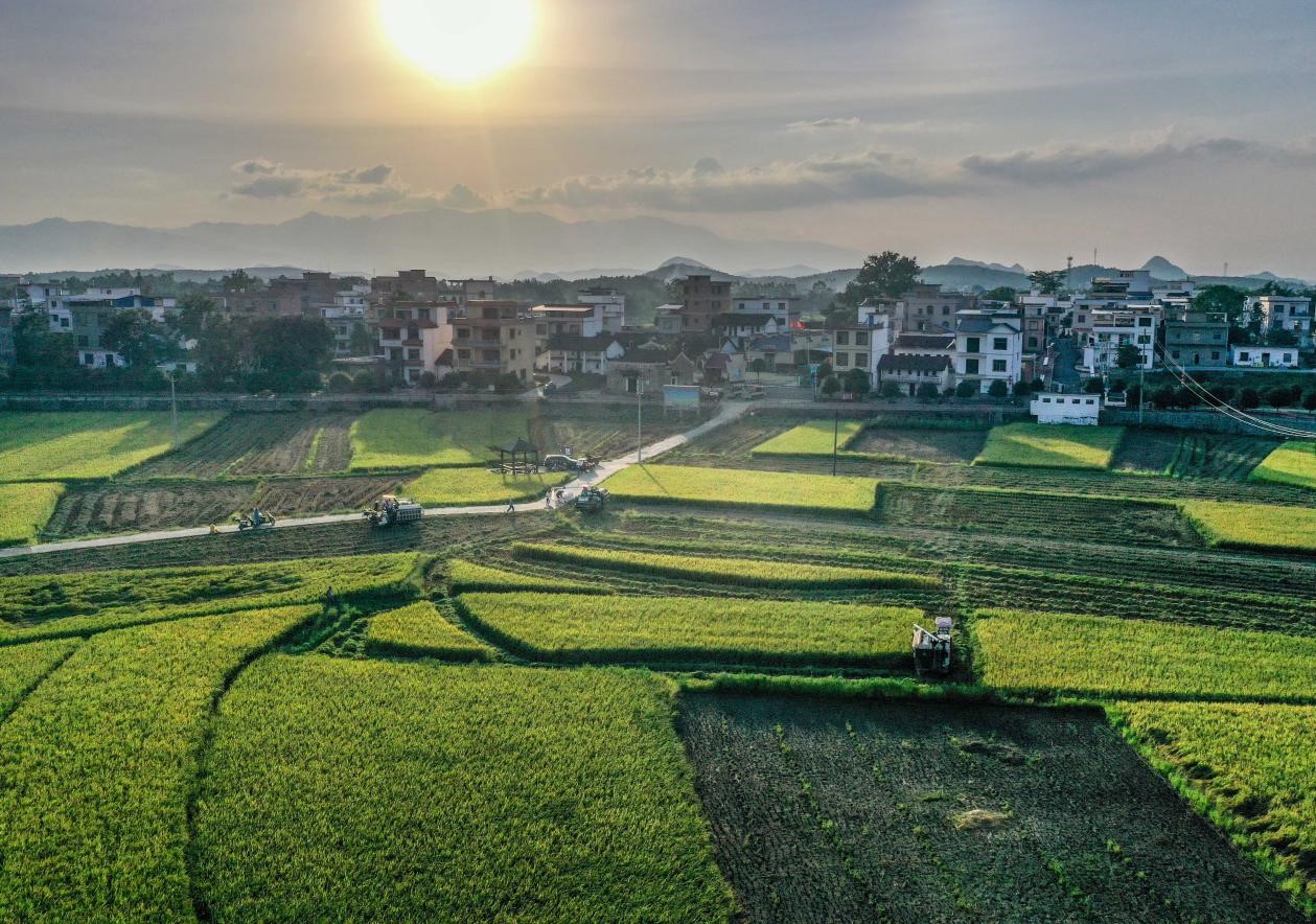 中国农业发展银行永州市贷款支持的高标准农田项目