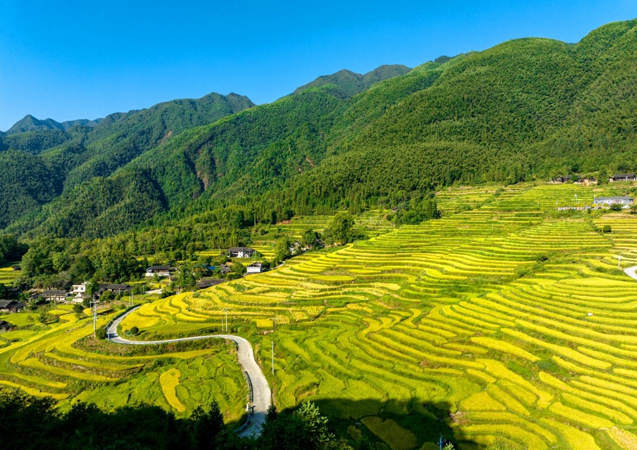 塘家梯田层峦叠嶂如诗如画