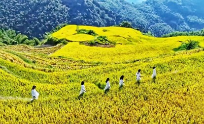 游客在塘家梯田游览赏景