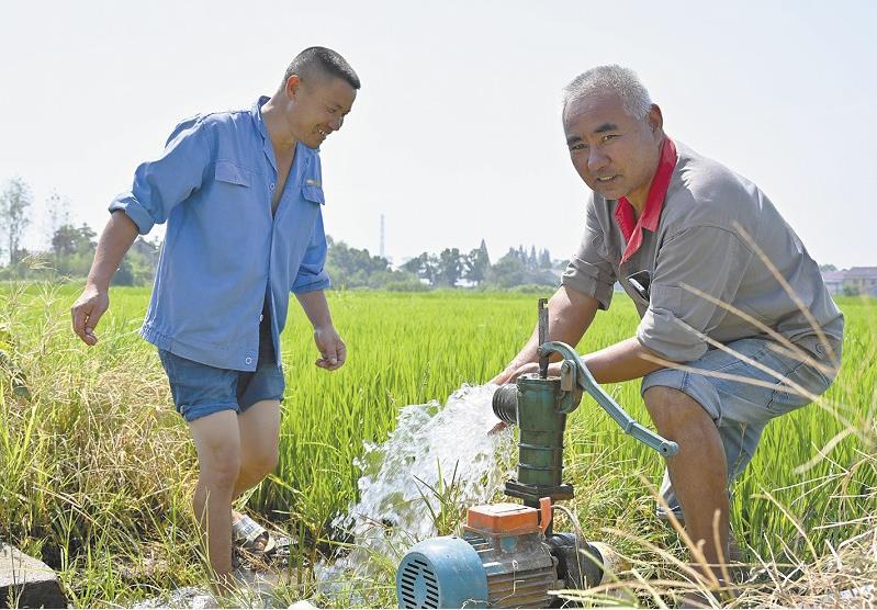资阳:田间打井解旱情 - 益阳 - 新湖南