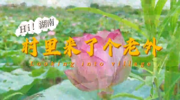 Hi湖南｜村里来了个老外：走进荷里乔江