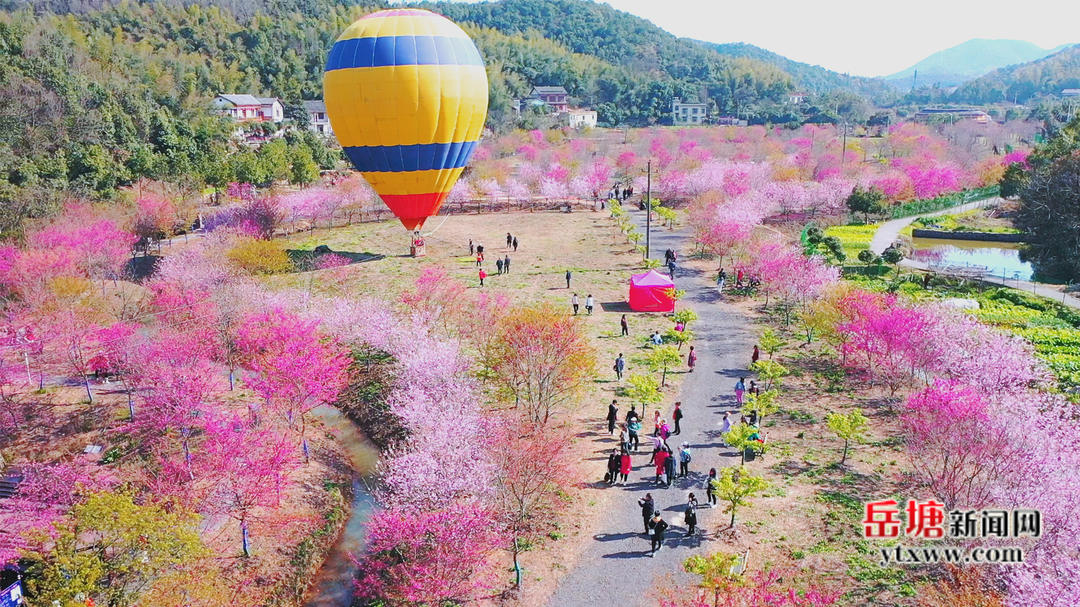 非凡十年看岳塘丨岳塘區(qū)：文化惠民添活力 文旅融合促發(fā)展