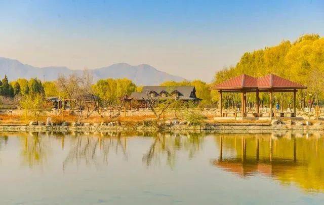 这5个湿地公园，拥有北京最美的秋水长天