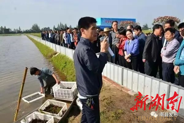 2016年，全省各市州、区（县市）畜牧水产负责人来南县观摩稻虾产业。