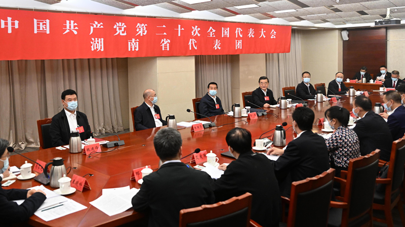 湖南代表团举行分组会议