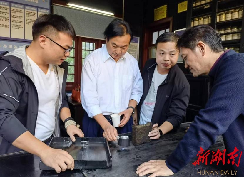 专家在湖南中茶安化第一茶厂指导。