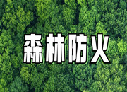 浏阳市官渡镇：绷紧森林防火弦 织密安全防护网