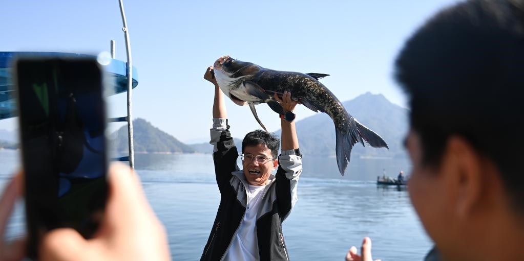 浙江：千岛湖巨网捕鱼迎丰收