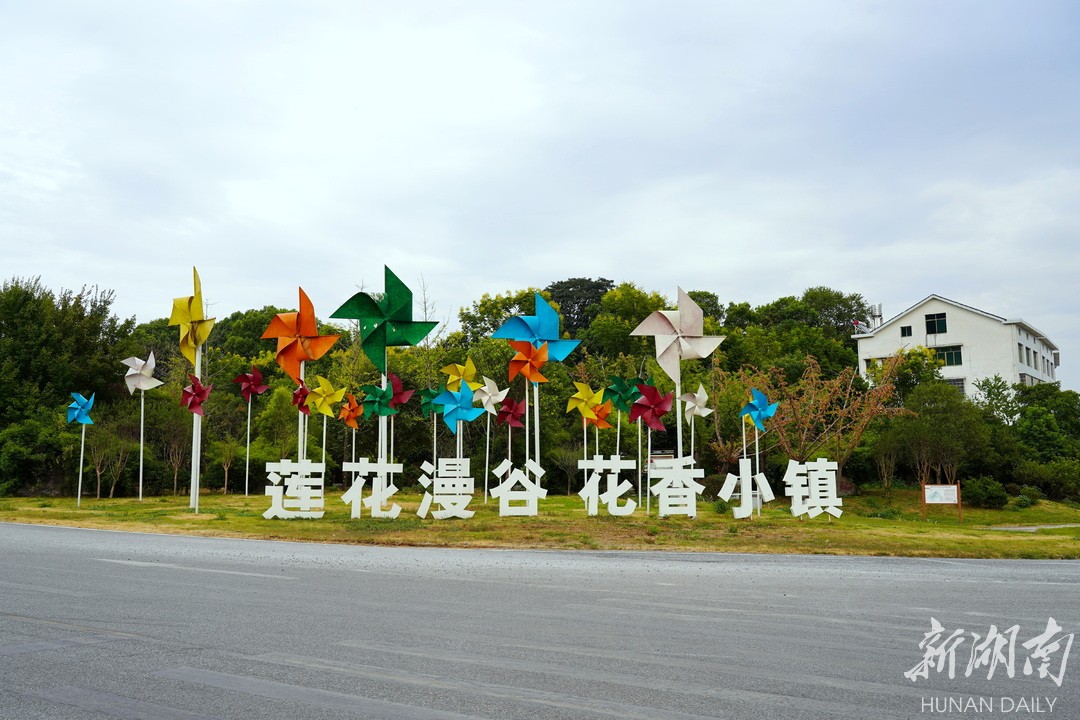 湖南莲花镇图片