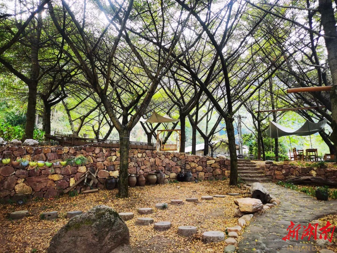 在坚守中毅行｜疫情复杂反复，看新宁这位村支书如何“逆势而上”，做强乡村民宿，树起崀山民宿标杆