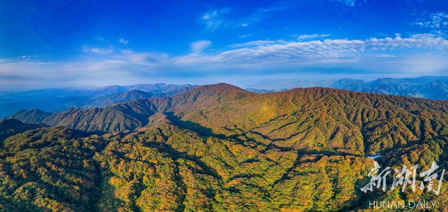 走進斗篷山鏡觀桑植秋