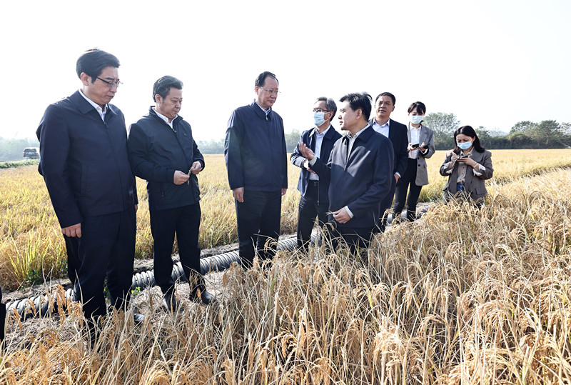 毛伟明：加强科研攻关 端牢中国饭碗 续写湖南水稻科研新篇章