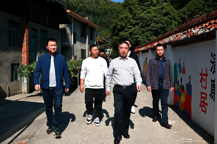 毛运鸿调研指导县溪镇当前重点工作
