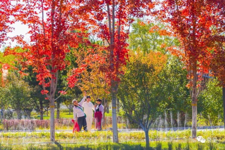 美图 | 在北京，走进最长最美的秋