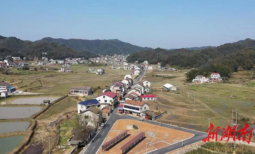 花桥港村鸟瞰。周凡 摄