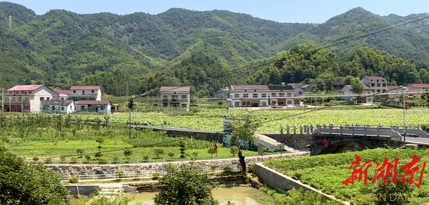 肖家村“美丽屋场”一角。蒋倩文 摄