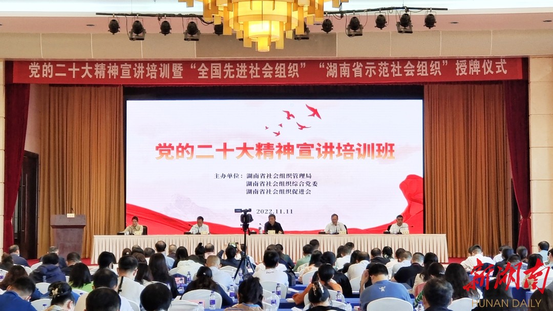 发挥湖南社会组织示范作用 以高质量党建引领高质量发展