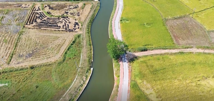 “守护幸福河湖”短视频大赛湖南作品展播（61）衡山荆陂河