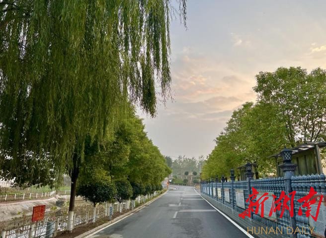 共华镇联盟路干干净净。何文杰 摄