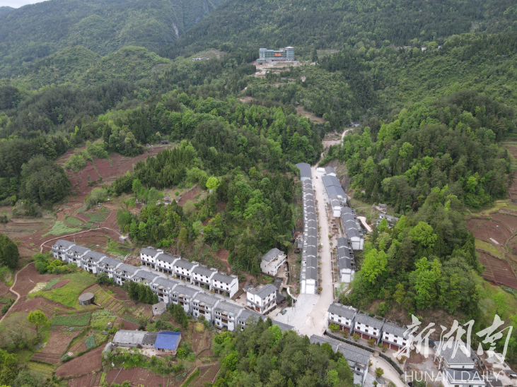 美文欣赏丨邂逅实竹坪