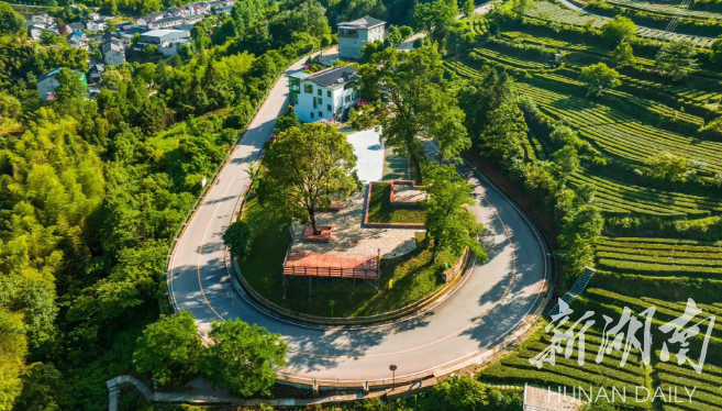 武陵源：在绝版山水间绘就乡村振兴靓丽画卷