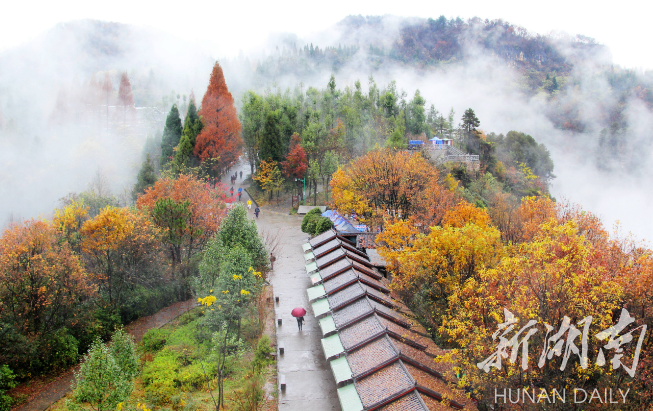 武陵源：在绝版山水间绘就乡村振兴靓丽画卷