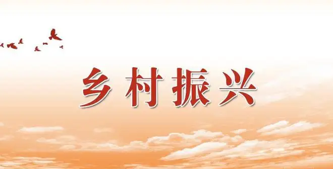 武冈市对驻村工作队选优培强、严管厚爱，让队员下得去、留得住、干得好——驻村“铁军”引领乡村振兴