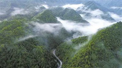 林海听回音，青山作答卷 ——湖南林长制从“全面建立”走向“全面见效”