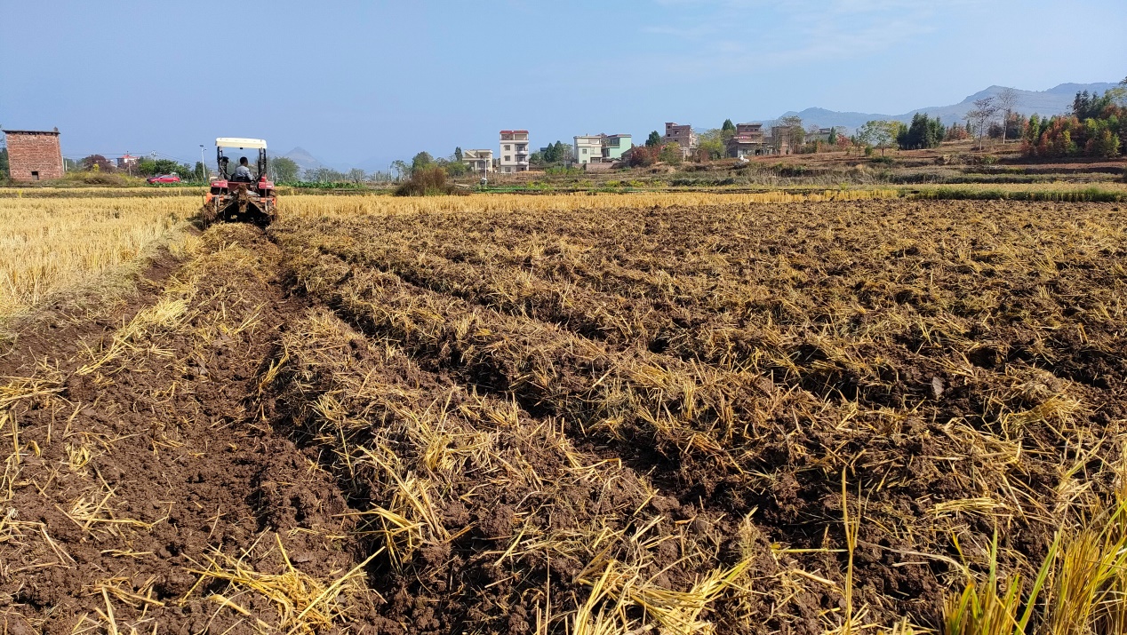 宁远:抢抓时节忙冬种 翻耕起垄掀热潮-新湖南