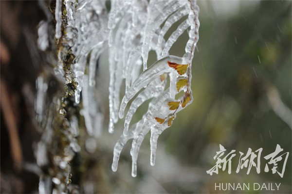 浪漫至极 张家界喜提今冬“初雪”