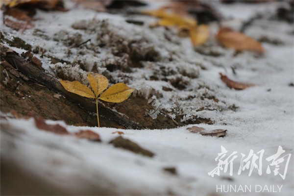 浪漫至极 张家界喜提今冬“初雪”