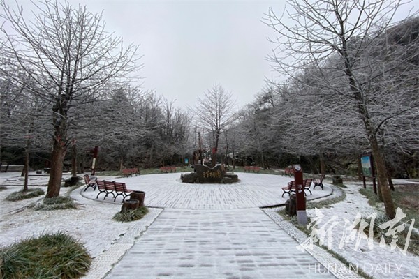 浪漫至极 张家界喜提今冬“初雪”