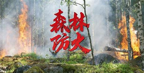 湖南岳阳推进森林防火“六大行动”