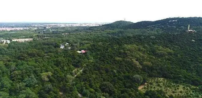 衡阳持续优化林长制工作机制