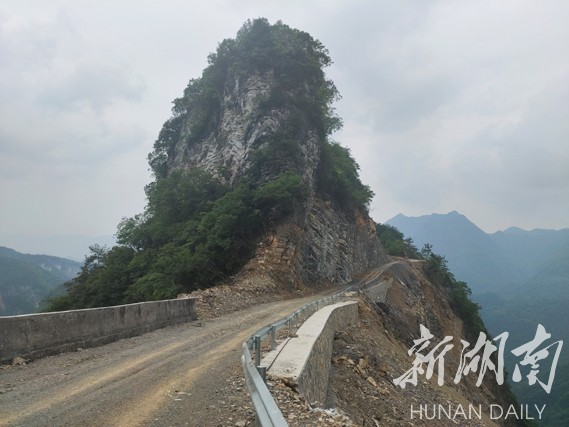 美文欣赏丨青龙礼赞