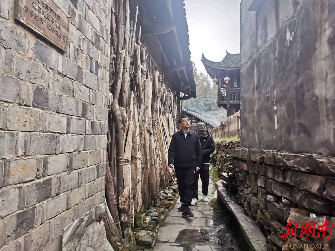 马碧赴吉首保靖调研民族特色村寨 - 湘西 - 新湖南