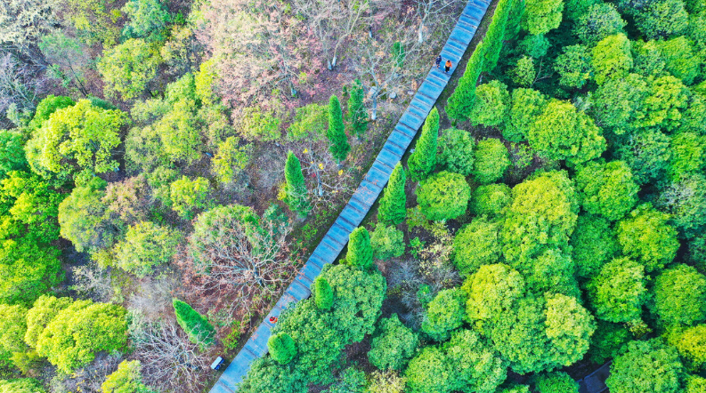 《国家储备林可持续经营指南》行标发布