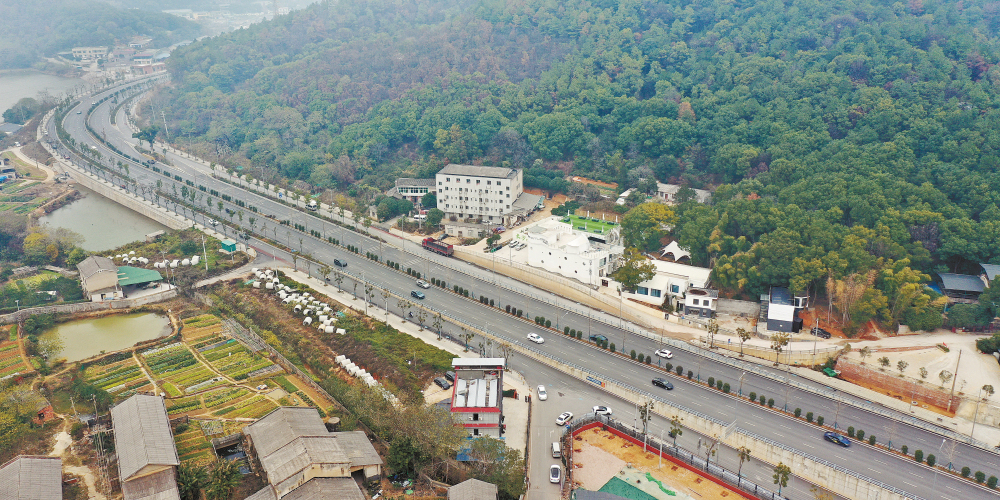 湘江智谷片区交通路网提质升级